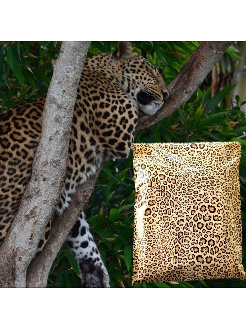 50 10X13 Poly Mailers Leopard PRICE IS FIRM - Picture 7 of 11